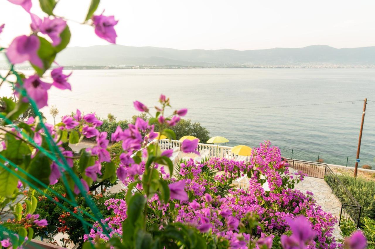 Villa Fjaba - By The Sea - With The Big Terraces & Great Sea View โตรกีร์ ภายนอก รูปภาพ